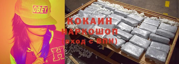 кокс Арсеньев