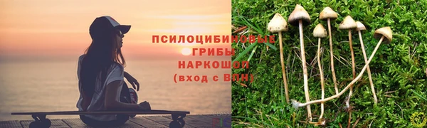 кокс Арсеньев