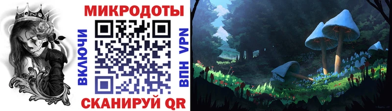 Галлюциногенные грибы Psilocybine cubensis  где найти   Пушкино 